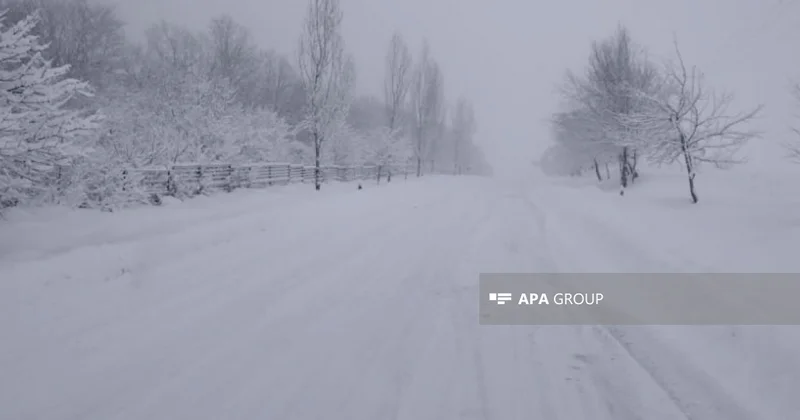 В Баку ветер 28 м/с, в регионах снег высотой в 30 см ФАКТИЧЕСКАЯ ПОГОДА