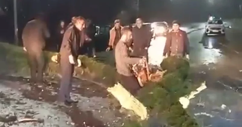 Küləyin aşırdığı ağac Lənkəran Lerik yolunu bağladı Video