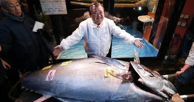 243 kiloqramlıq balıq 510 milyona satıldı