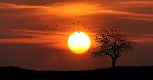 Dünyada 2025 ci il qeydlərə görə ən isti üçüncü il olub