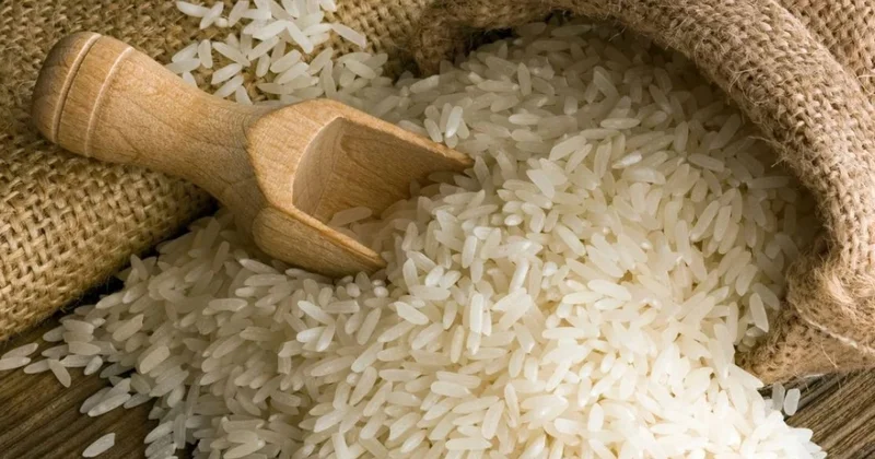 Индия прекратила экспорт риса басмати в Иран