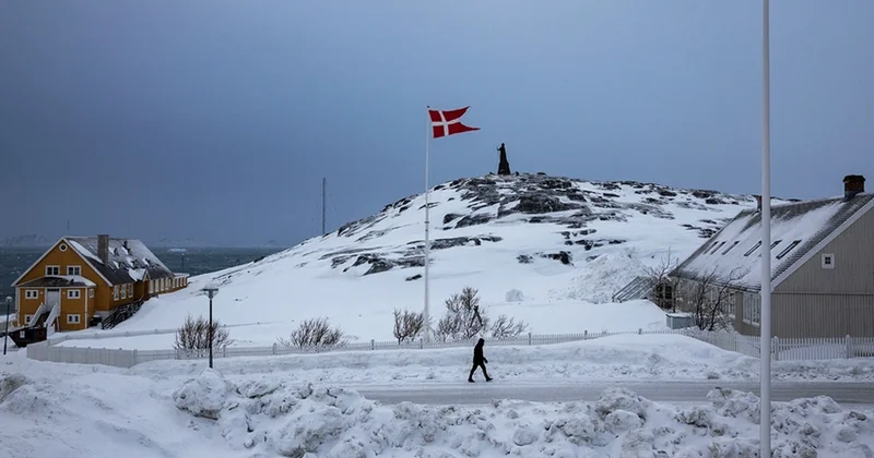 Согласно опросам в США лишь 17% поддерживают покупку Гренландии у Дании