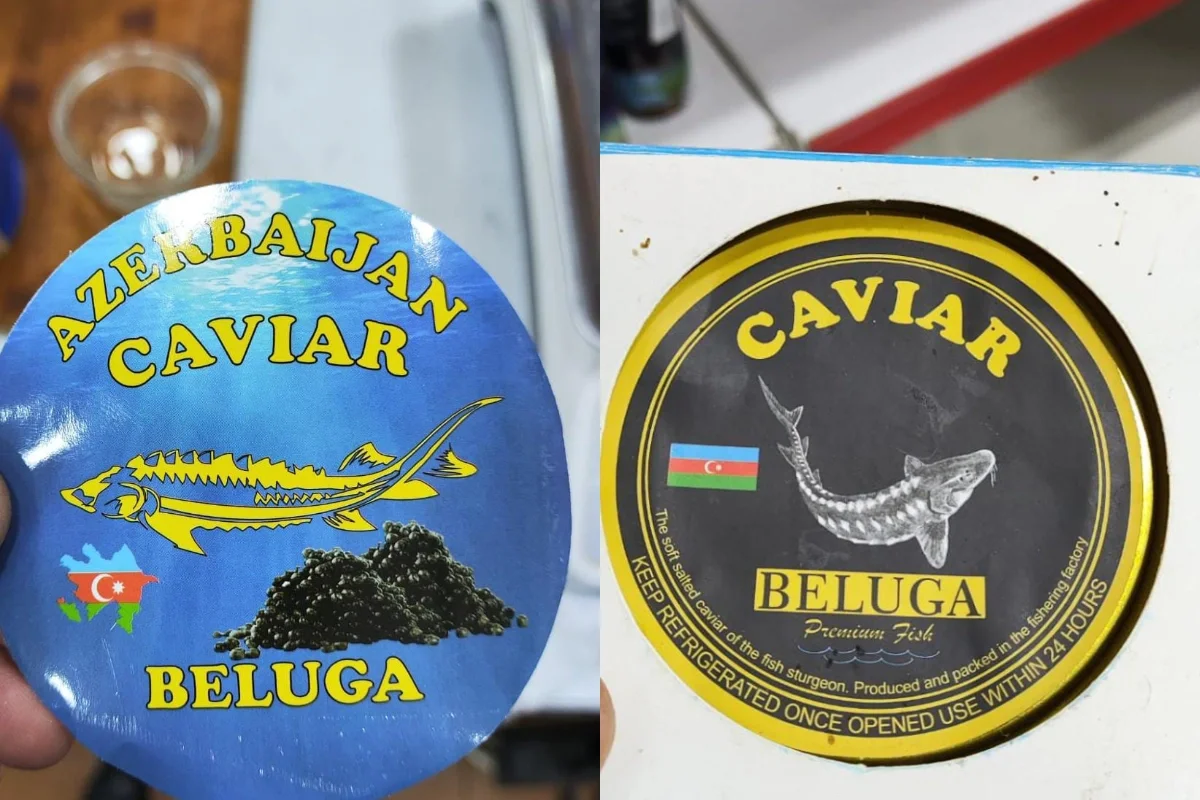 Çin və Rusiyadan idxal edilmiş kürünün Azerbaijan Caviar adı ilə satışa çıxarıldığı aşkarlanıb