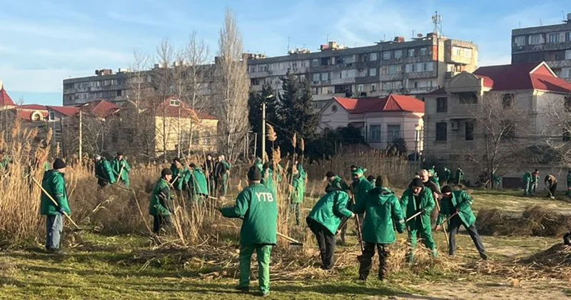 “Pitomnik bağı” ilə bağlı Açıqlama