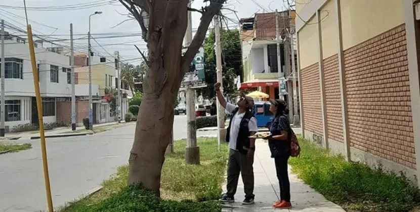 Evləri qarət edən oğrunu axtaran polis şoka düşdü