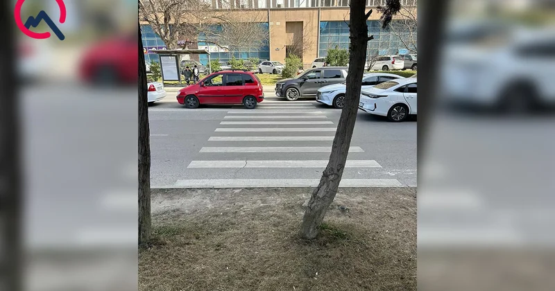 “Piyada zolağından sonra səki yoxdur, ağaclığa giririk” Video Fotolar