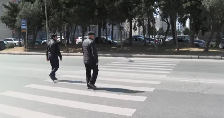 Квест для пешеходов в Баку: зебра упирается в заросли, а тротуара просто нет