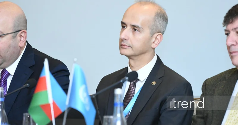 Развитие Среднего коридора требует сбалансированный подход Эрфан Али