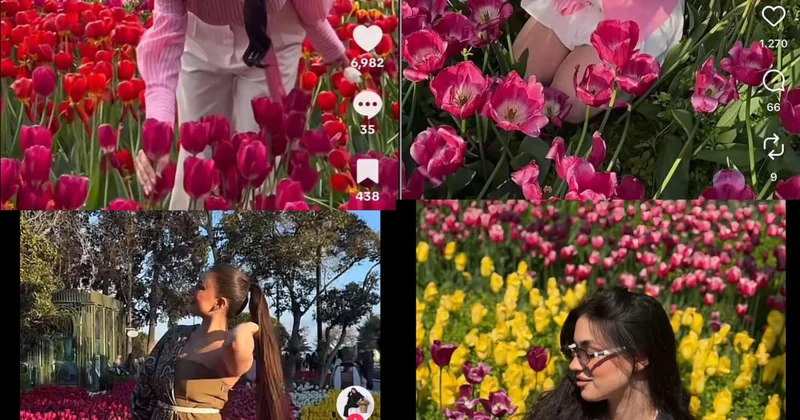 Bulvarda gülləri əzənlər tanınmış blogerlər imiş ADLAR FOTO