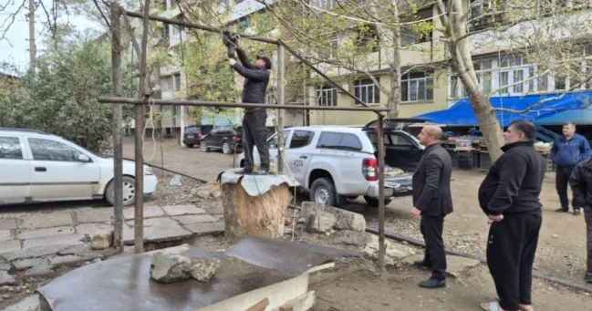 В Гяндже объявили войну уличным бойням