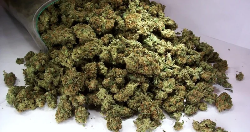 Keçmiş məhkumda 8 kiloqrama yaxın marixuana aşkarlandı