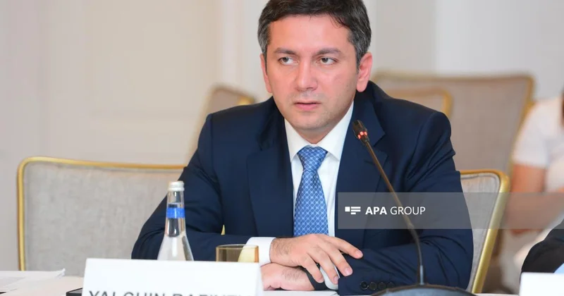 Nazir müavini Azərbaycanın BMT Təhlükəsizlik Şurasında islahatları dəstəklədiyini açıqlayıb