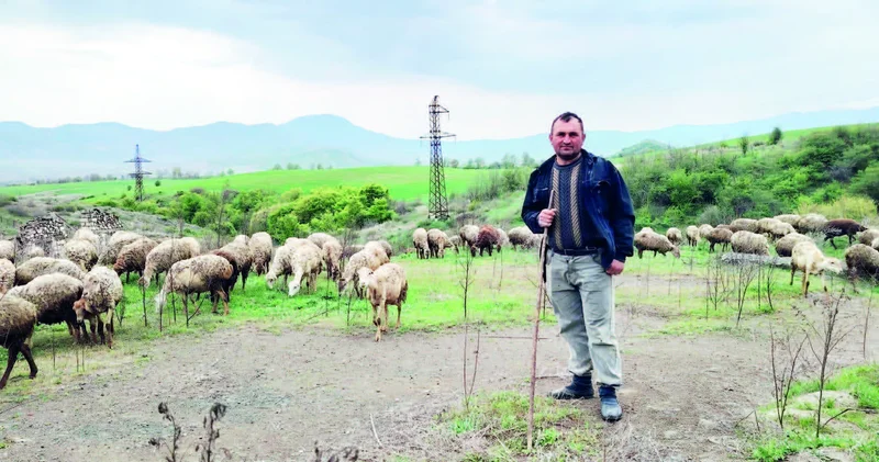 Azad çöllərimizdə sürülər otlar...