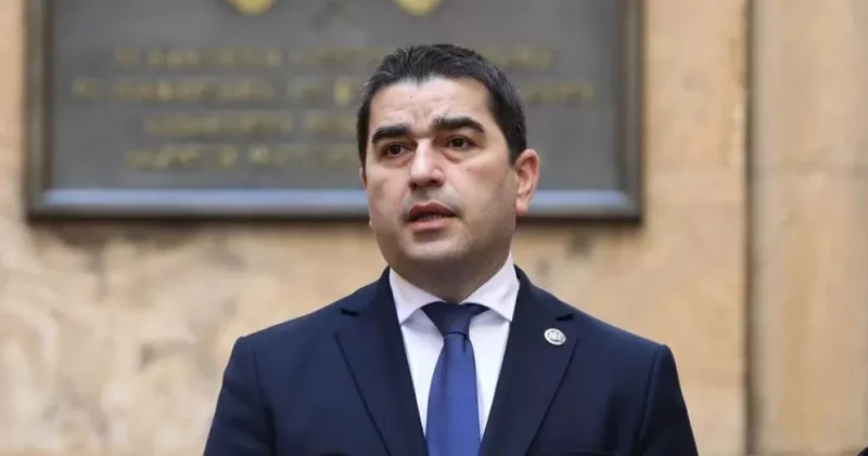 Папуашвили: Разведка Украины отправила Саакашвили в Грузию для попытки революции