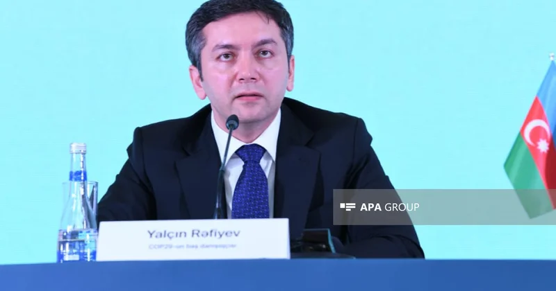 Nazir müavini: Qlobal Cənub həm iqtisadi, həm də siyasi nüfuzunun artması baxımından sıçrayış dövrünü keçirir