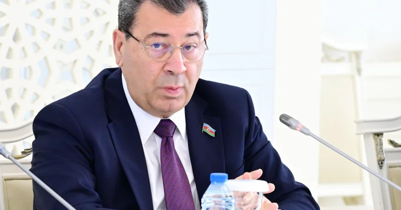 Səməd Seyidov: Yeni reallıq Azərbaycanın beynəlxalq münasibətlər sistemindəki mövqeyini gücləndirib
