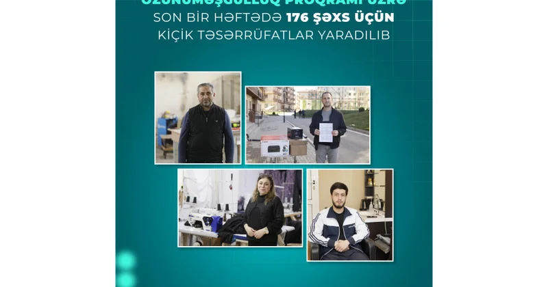 Özünüməşğulluq proqramı üzrə son bir həftədə 176 şəxs üçün kiçik təsərrüfatlar yaradılıb