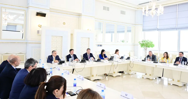 Qlobal Cənubun inkişafını şərtləndirən Qərbin dominantlığına qarşı mübarizədə həmrəylikdir