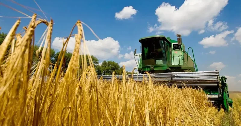 Euractiv: Украинский агросектор готовится к жесткой посадке