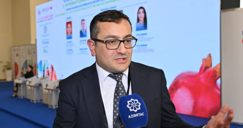 Aqrar Tədqiqatlar Mərkəzinin direktoru: Qarabağda bir neçə şirkətin artıq aqroparklarla bağlı konsepsiyası var