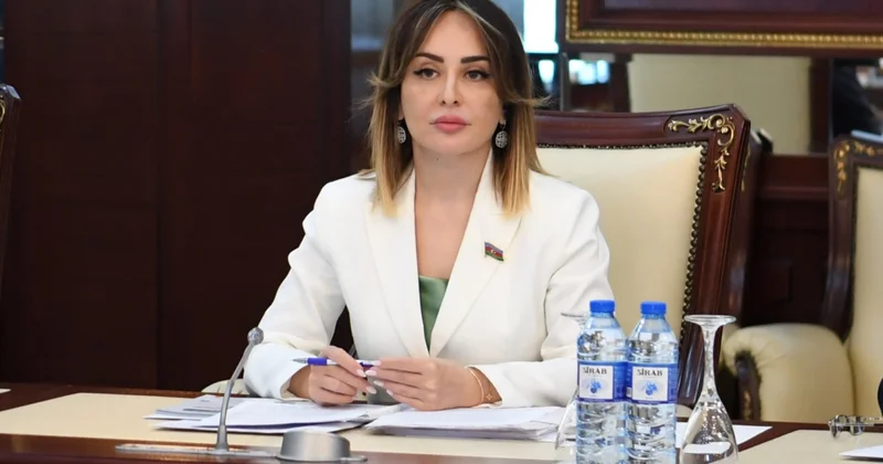 Deputat: Rəsmi Bakı inkişaf etməkdə olan ölkələrin hüquq və mənafelərini qoruyur