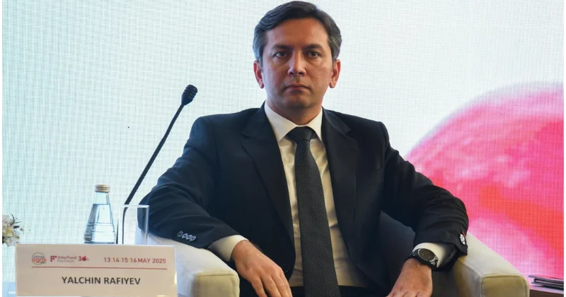 Ялчин Рафиев назвал главный фактор достижения климатического финансирования в $300 млрд на COP29