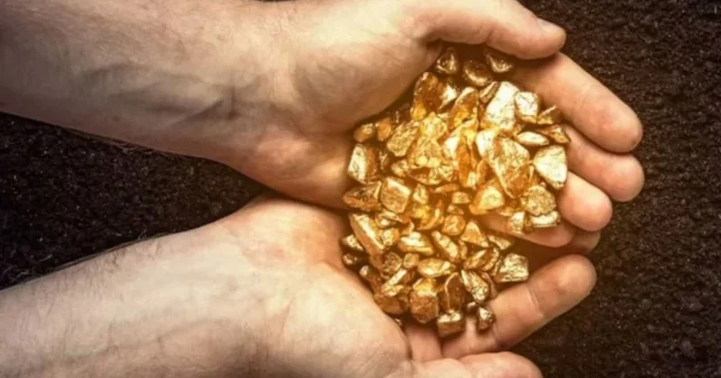Fermer torpağından 150 ton qızıl tapdı Həyatı kabusa çevrildi