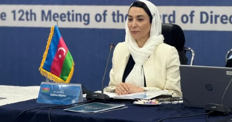 Səbinə Əliyeva İƏT Ombudsmanlar Assosiasiyasının iclasında iştirak edib