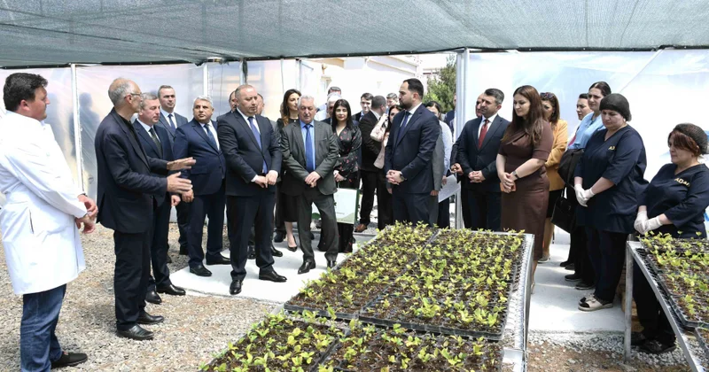 ADAU da Bitkilərin Adaptasiya Otağı fəaliyyətə başlayıb