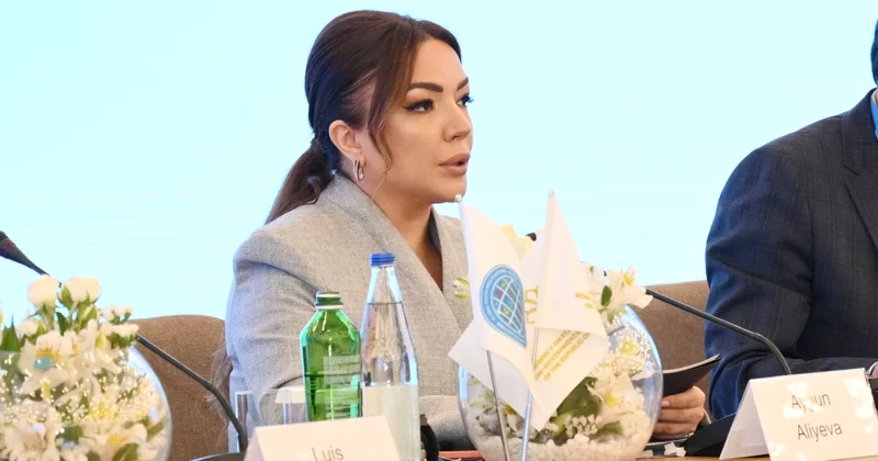Aygün Əliyeva: Qlobal Cənub onun gələcəyinə təsir edən qərarlara töhfə verilməsində konstruktiv iştirakçı rolunu oynamalıdır