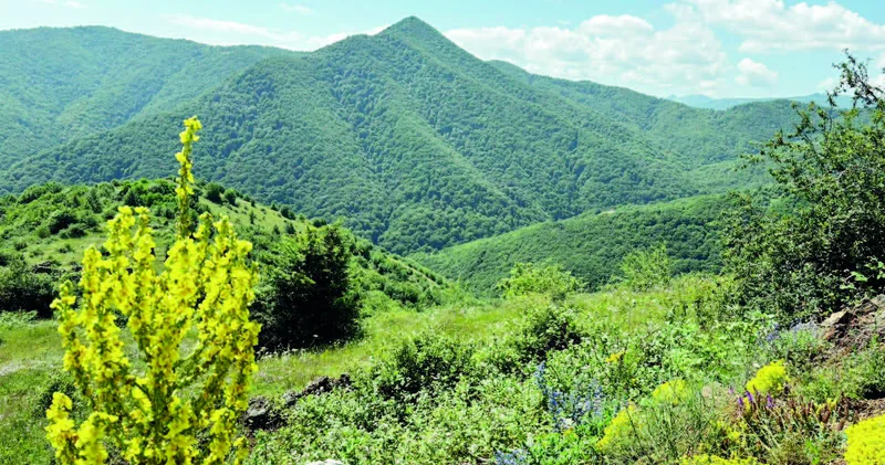 Kosaların işğalı dinc əhaliyə qarşı müharibə cinayəti idi