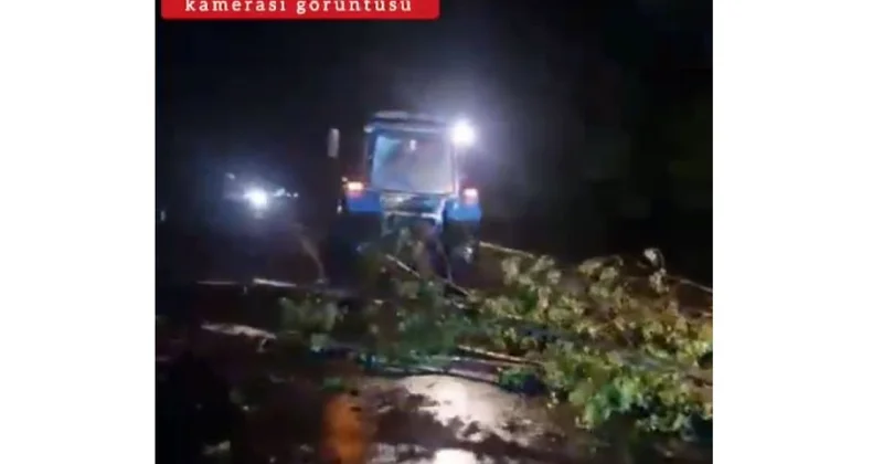 Yol polisi: Ağac yola aşıb, maşınların hərəkətində çətinlik yaranıb