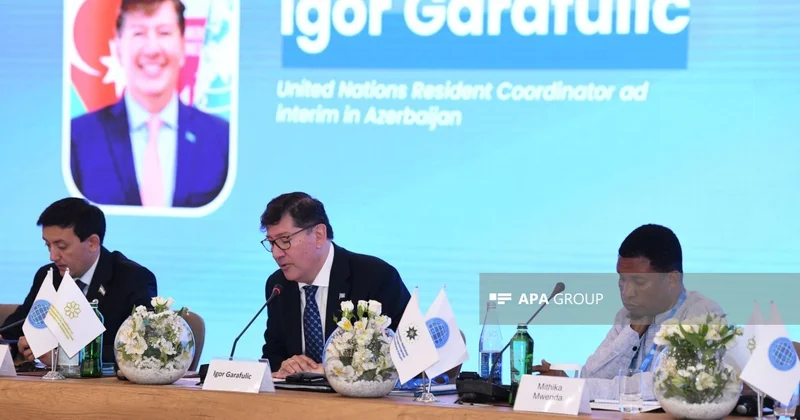 İqor Qarafuliç: Qlobal Cənub QHT Platforması tərəfdaşlıq üçün mühüm mexanizmdir