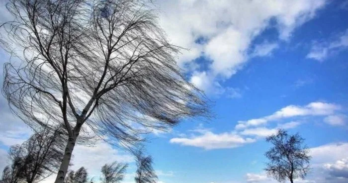 Ağcabədidə güclü külək fəsadlara səbəb olub