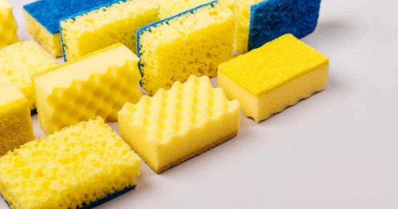 Mətbəxdəki ən çirkli əşyadır Alternativi tapıldı