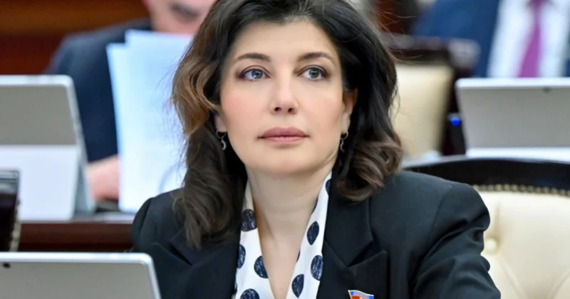 Günay Əfəndiyeva: “Diplomatik xidmət haqqında” qanun layihəsində nəzərdə tutulan dəyişikliklər olduqca əhəmiyyətlidir