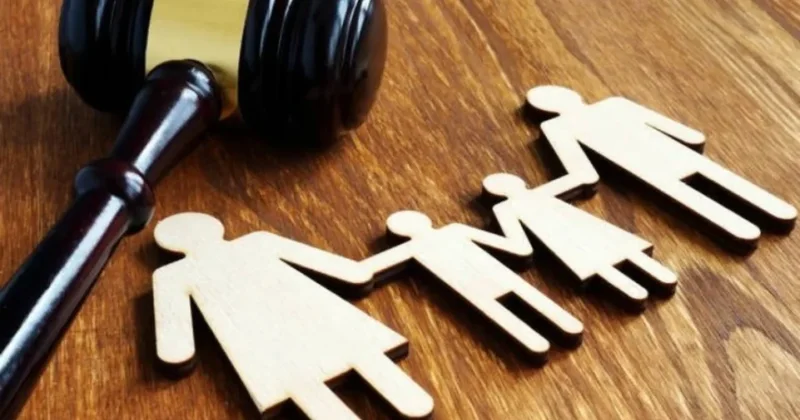 Aliment geri qaytarıla bilər? Hakimdən açıqlama