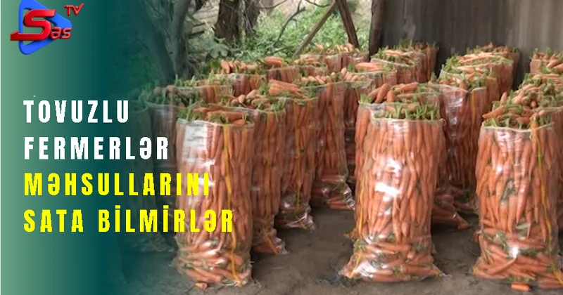 Tovuzlu fermerlər məhsullarını sata bilmirlər