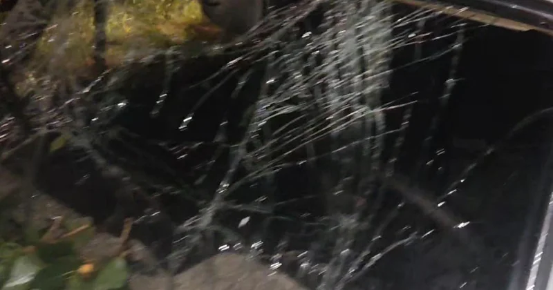 Güclü külək ağacı maşınların üzərinə aşırdı Video