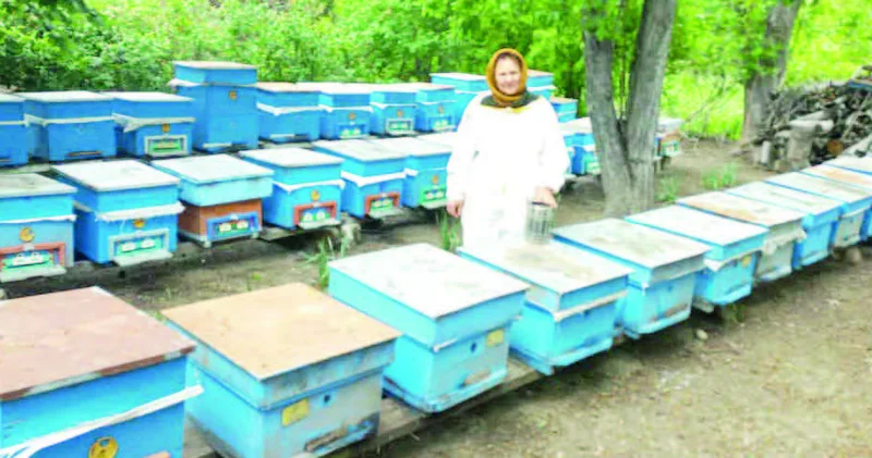Halal zəhmətin şirin neməti