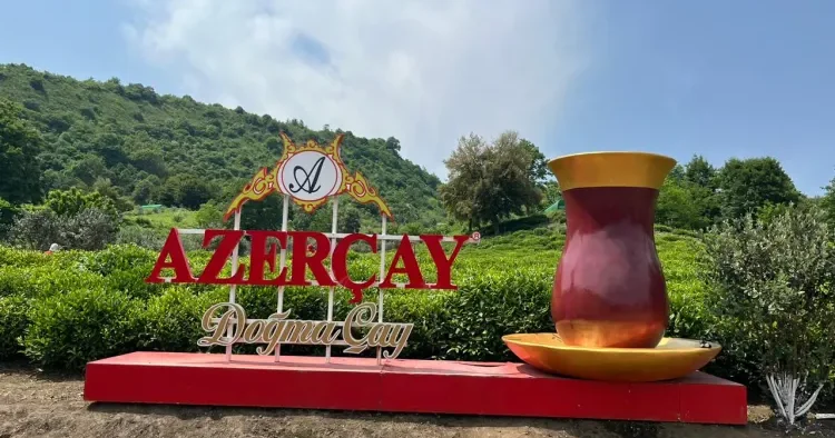 Kimyəvi qatqısız “Azərçay”: İstehsalın pərdəarxası Masallıdan REPORTAJ