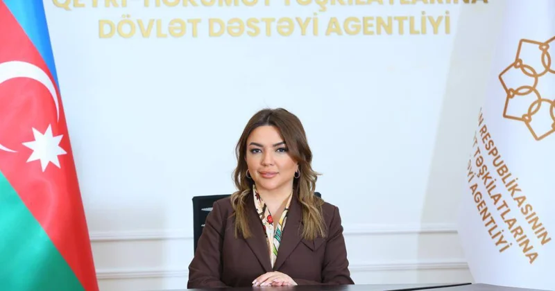 Платформа НПО Глобального Юга в Баку стала международной площадкой солидарности Айгюн Алиева