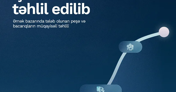 Milli Observatoriya 60 mindən çox iş elanının təhlilini aparıb