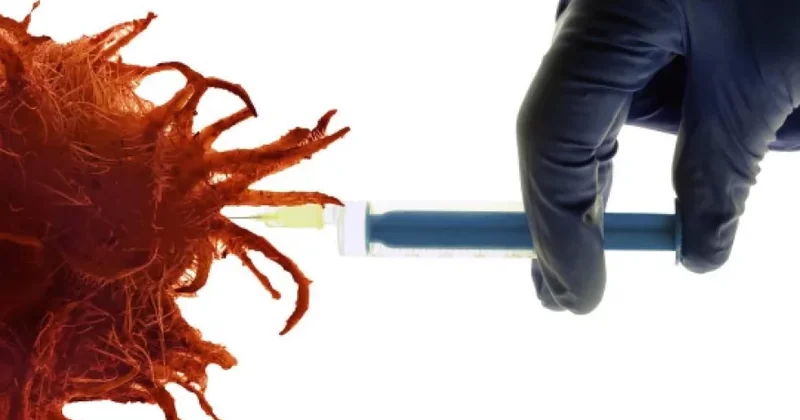 Gənclər arasında nadir appendiks xərçəngi sürətlə artır