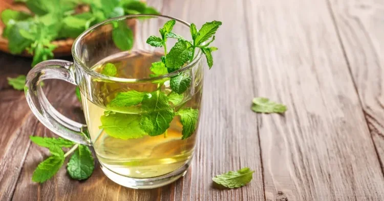 Həzmi yaxşılaşdıran və bağırsaqları sakitləşdirən 6 çay