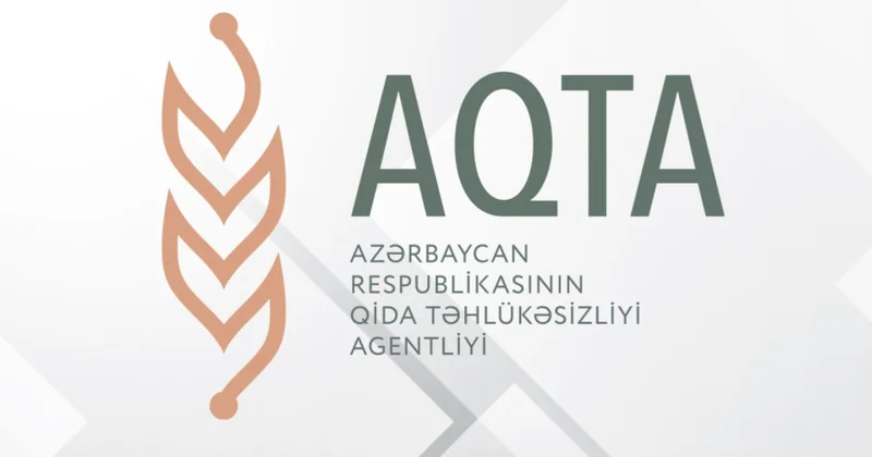 Cəlilabadda peyvənd vurulan heyvanlar tələf oldu: AQTA araşdırmaya başladı FOTO