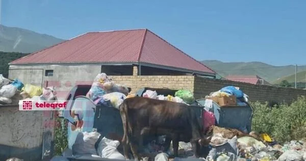 Bu məşhur istirahət məkanı zibillik içərisindədir Foto