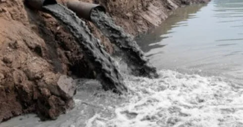 Təbiətin qorunması ilə bağlı tədbirlər görülür