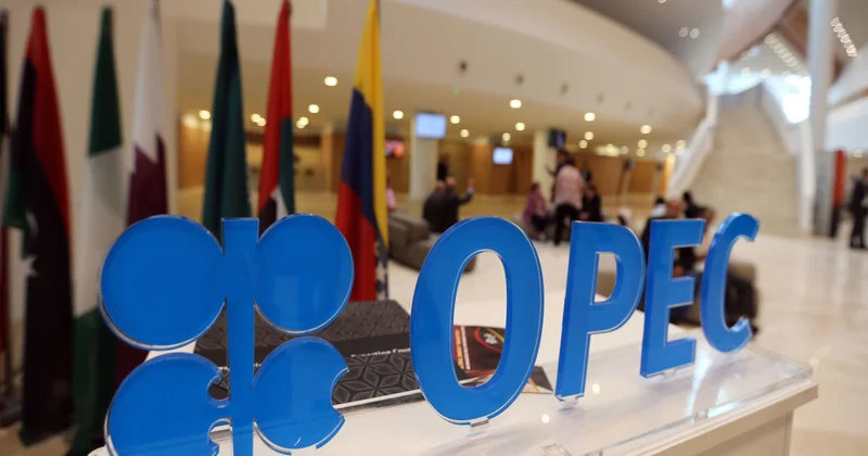 OPEC neft sektorunda istənilən növ sanksiyalara qarşıdır
