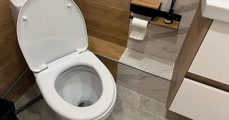 Tualetin qapağını açıq qoymayın: Bunu birdəfəlik xatırlamalısınız